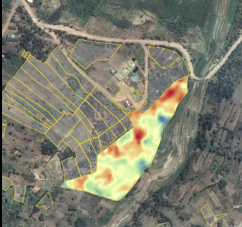 Satellite imagery showing farm plot boundaries with NDVI heat-map overlay